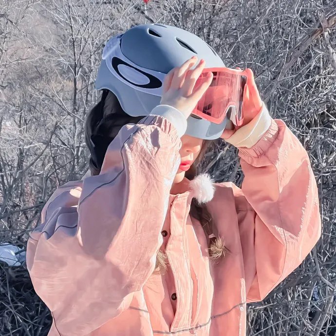 突入!浅间山庄事件